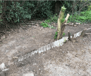 asbestos bordering in garden soil