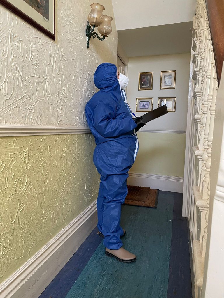 Asbestos Survey domestic property