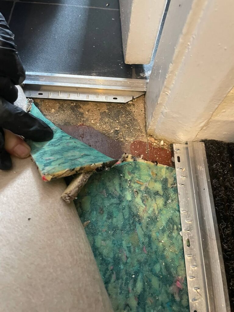 Asbestos survey for Nottingham flats by Smart Asbestos